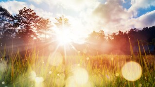 Greenwashing – så undviker du det